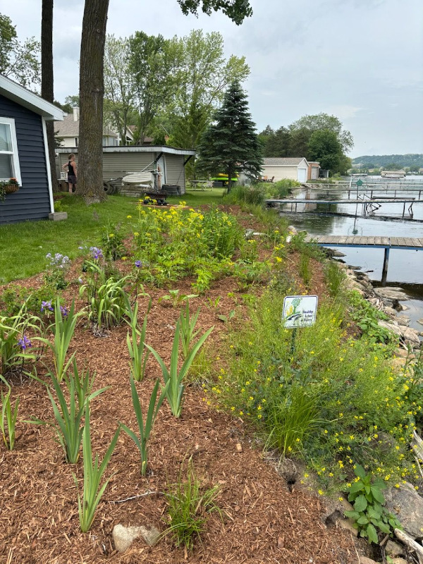 Native Plant Project