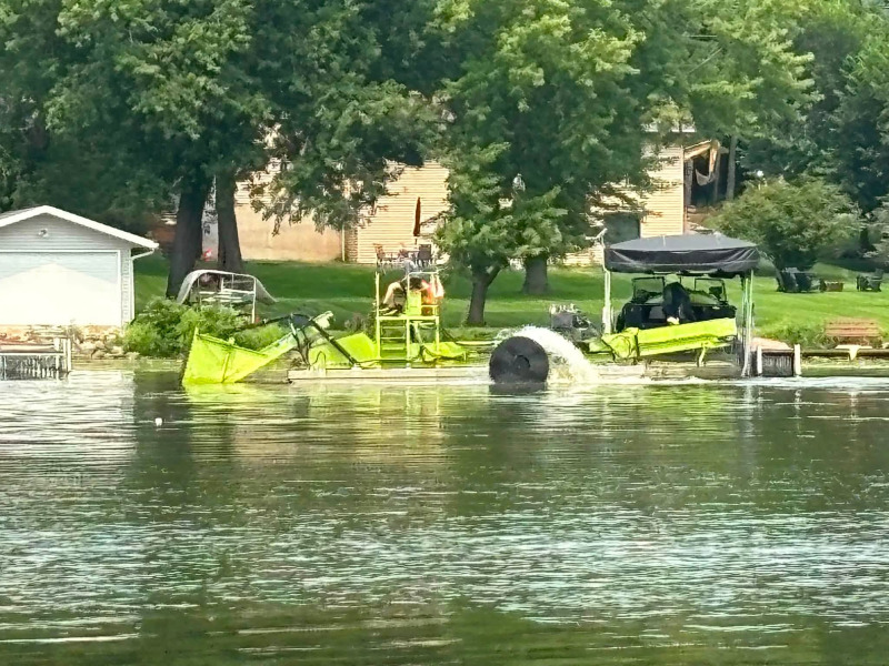 algae removal